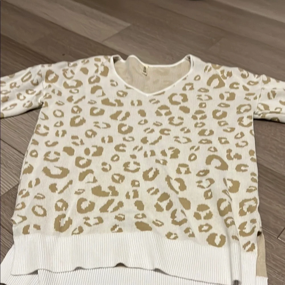 Leopard Print Sweater - Picture 1 of 5